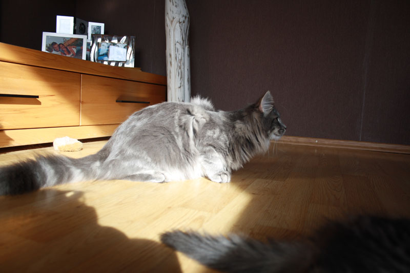 Duncan_281010_IMG_1021_kl