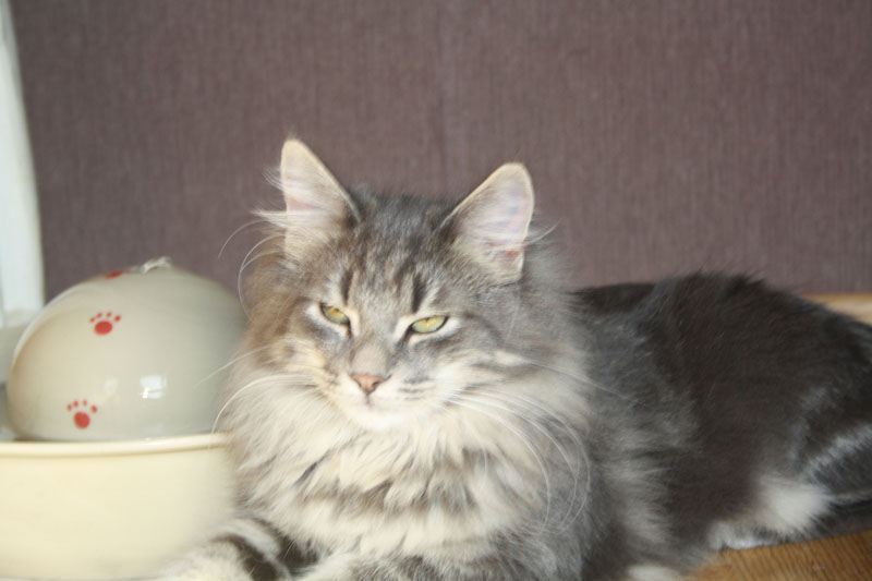 Duncan_281010_IMG_1023_kl