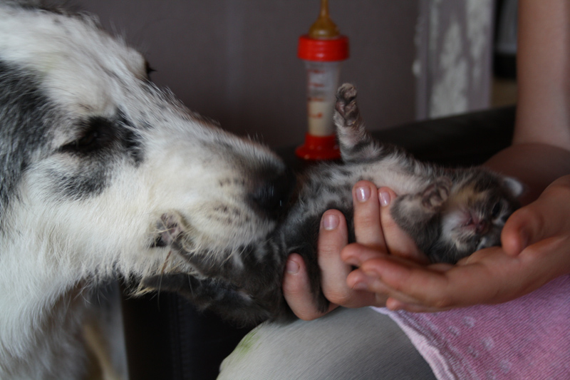 Duncan_Lara_0610_IMG_0214_kl