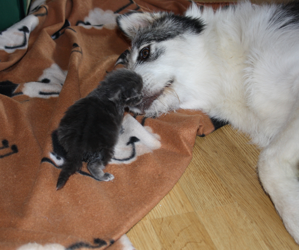 Duncan_Lara_220610_IMG_0217_kl