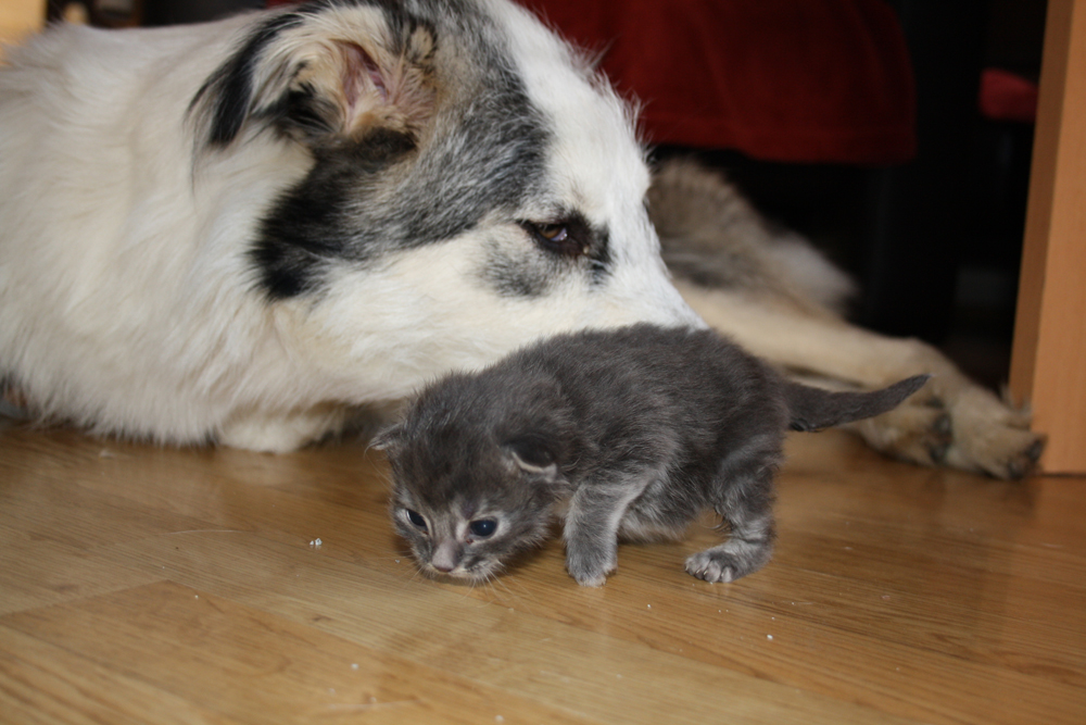 Duncan_Lara_220610_IMG_0220_kl