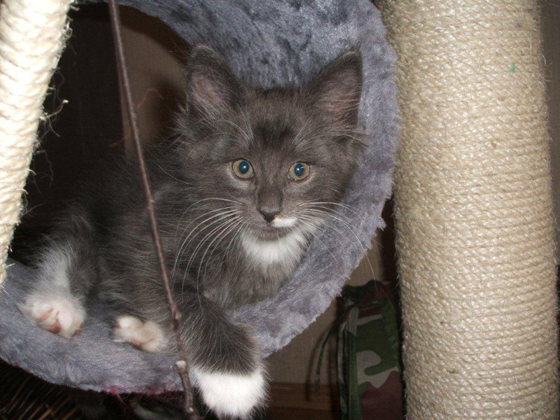 Gismo_031011_DSCF1570_kl