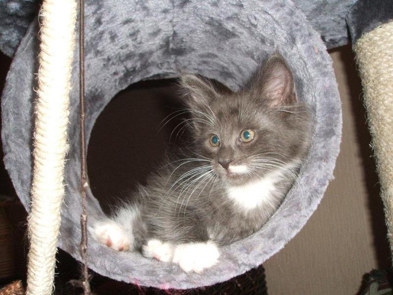 Gismo_031011_DSCF1571_kl