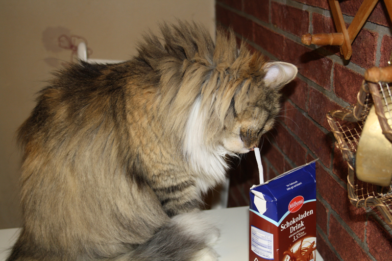 Hope_040211_IMG_1230_kl