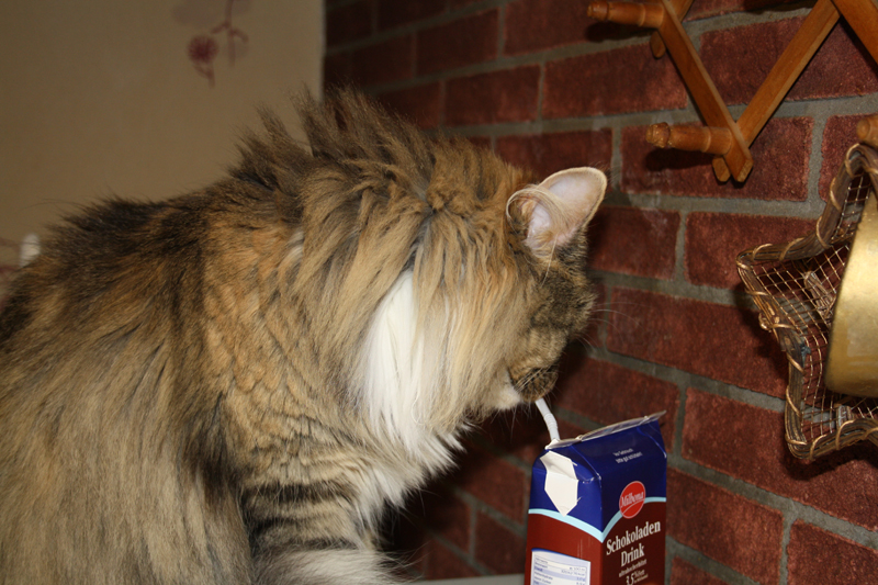 Hope_040211_IMG_1231_kl