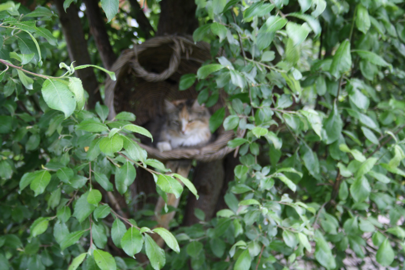 Hope_0610_IMG_0015_kl