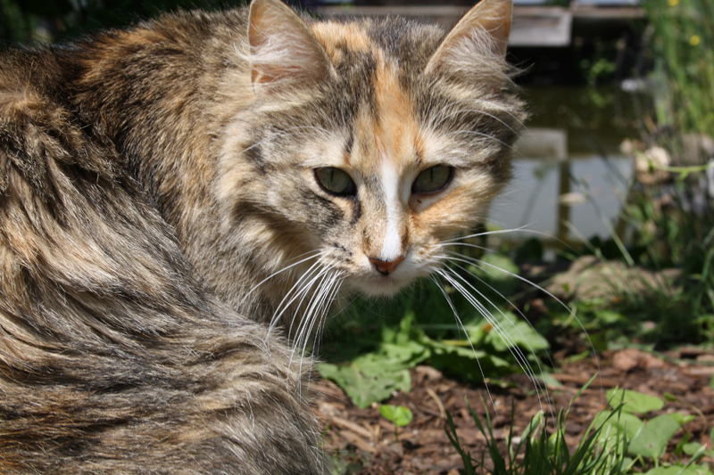 Hope_0610_IMG_0015_kl02