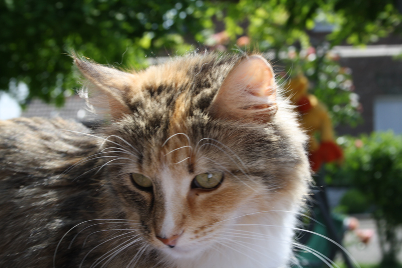 Hope_0610_IMG_0207_kl