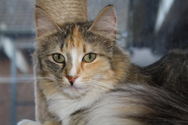 Hope_110710_IMG_0355_kl