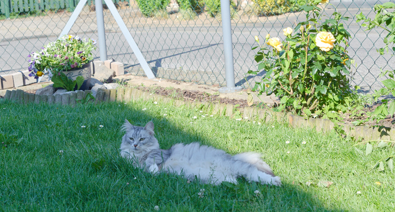 Ida_110610_D105236_kl