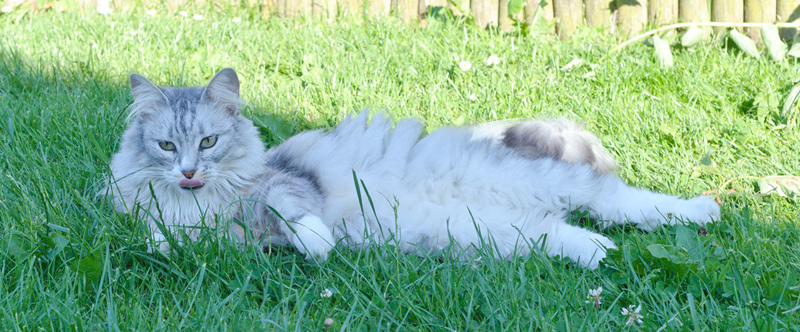 Ida_110610_D105237_kl