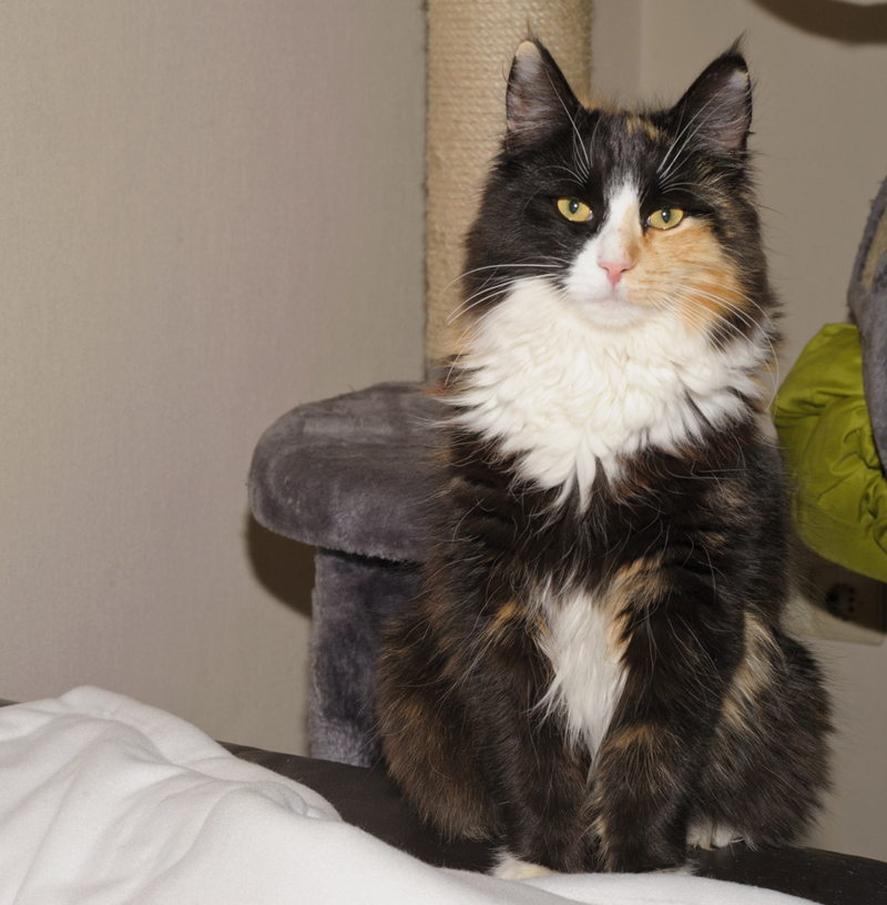 Jade_150412_D112610_kl