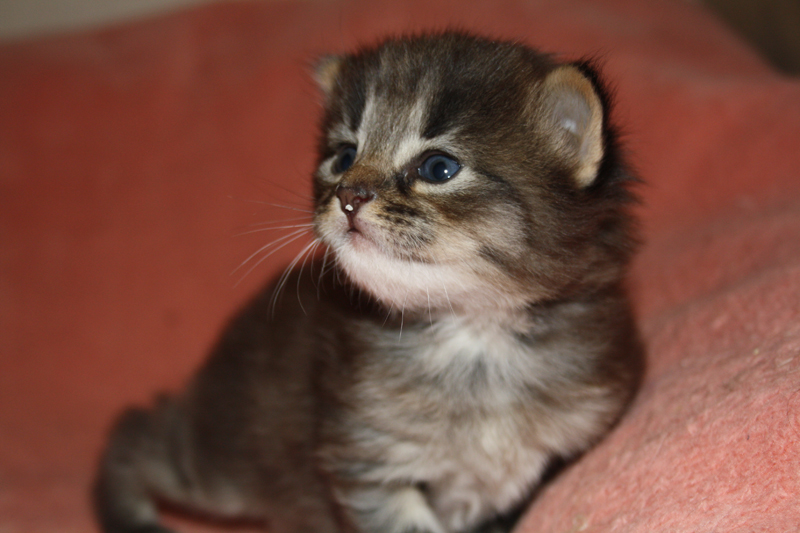 Joker_090910_IMG_0756_kl