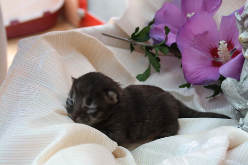 Joker_220810_IMG_0638_kl02