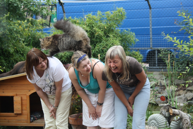 Joker_250511_IMG_178902