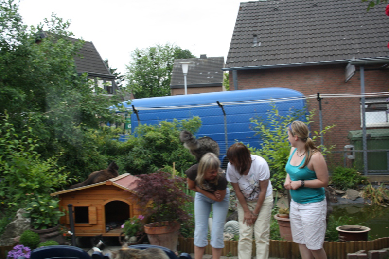 Joker_260511_IMG_178103