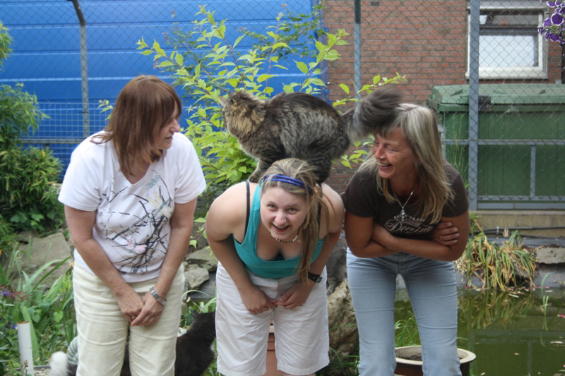 Joker_260511_IMG_178502