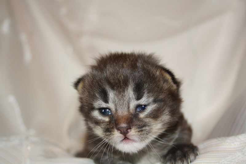 Joker_290810_IMG_0730_kl