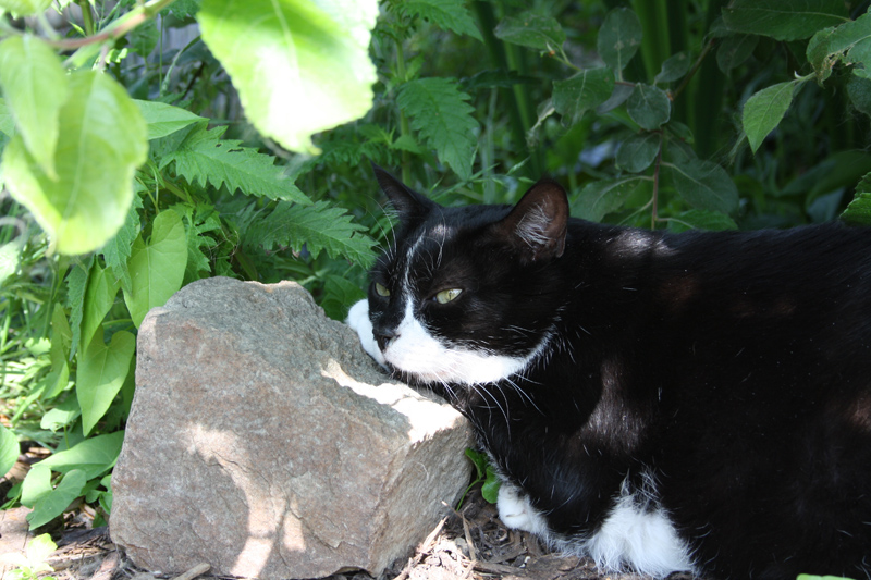 Kelly_0610_IMG_0202_kl