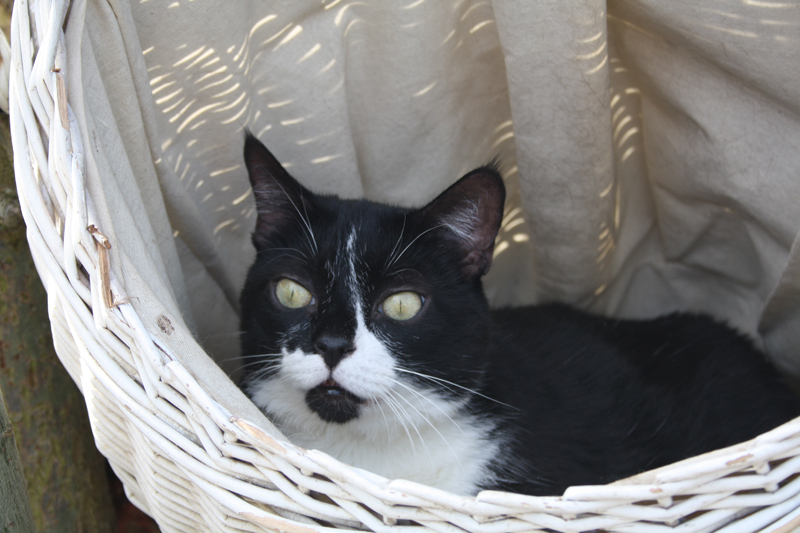 Kelly_280311_IMG_1360_kl