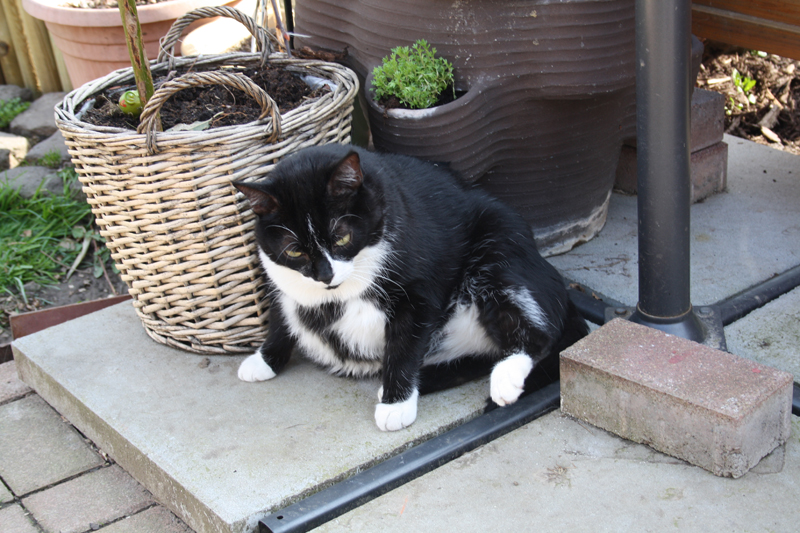 Kelly_280311_IMG_1384_kl