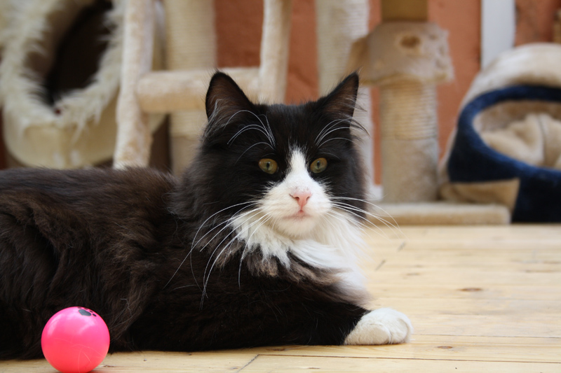 Kenai_0610_IMG_0035_kl