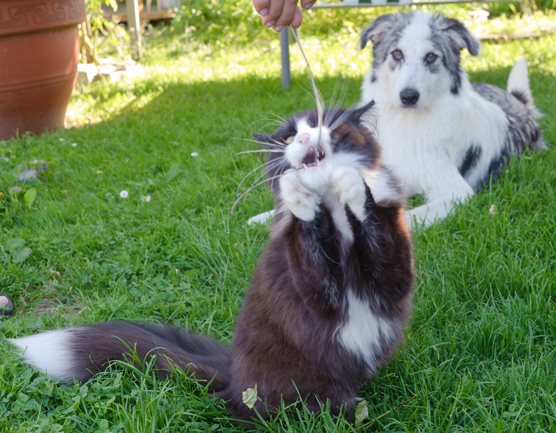 Kenai_110610_D105229_kl