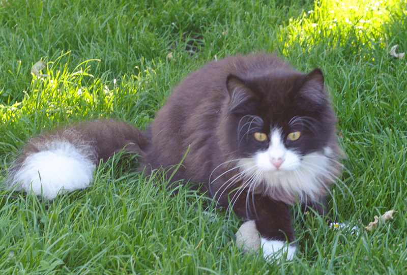 Kenai_110610_D105230_kl