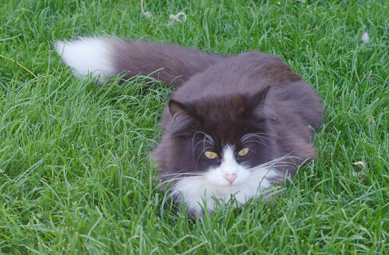 Kenai_110610_D105231_kl