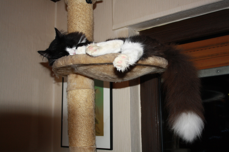 Kenai_1210_IMG_1093_kl