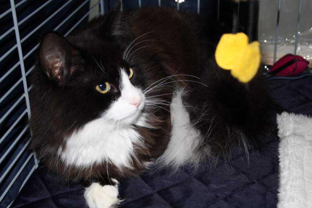 Kenai_200610_IMG_0312_kl