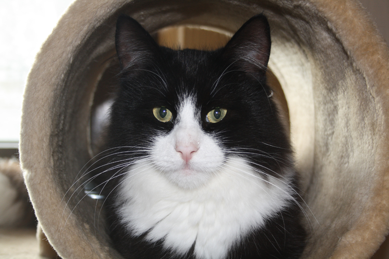 Kenai_220910_IMG_0870_kl