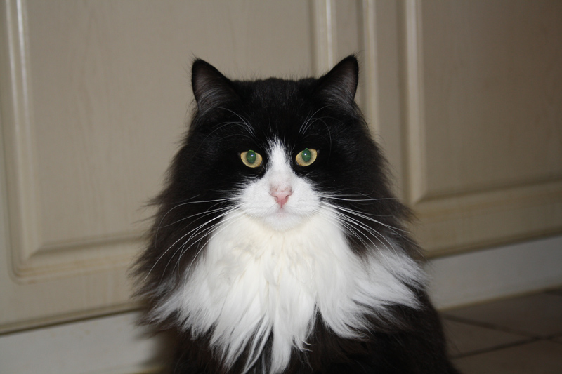 Kenai_250111_IMG_1178._kl