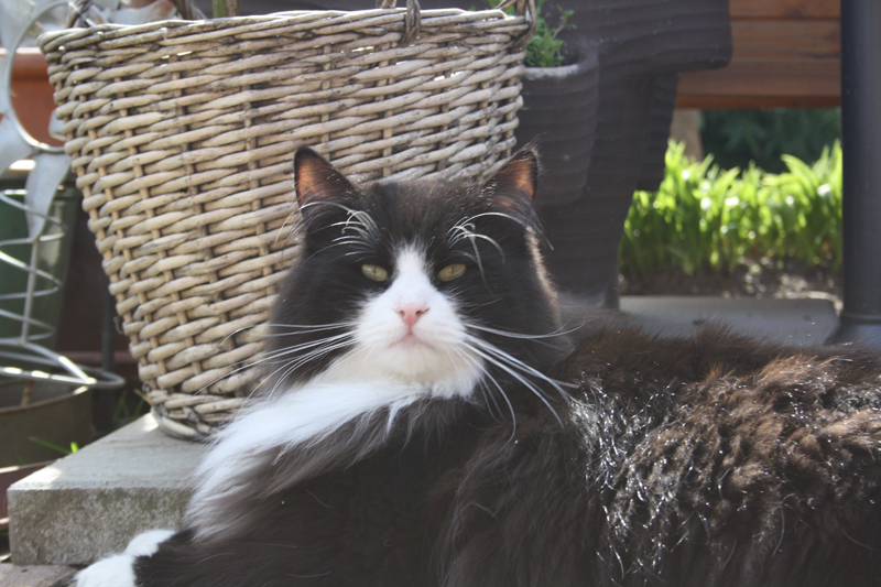 Kenai_280311_IMG_1351_kl02