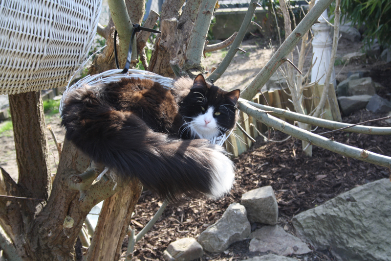 Kenai_280311_IMG_1385_kl