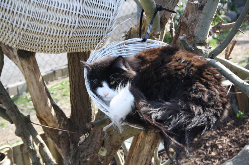 Kenai_280311_IMG_1386_kl02