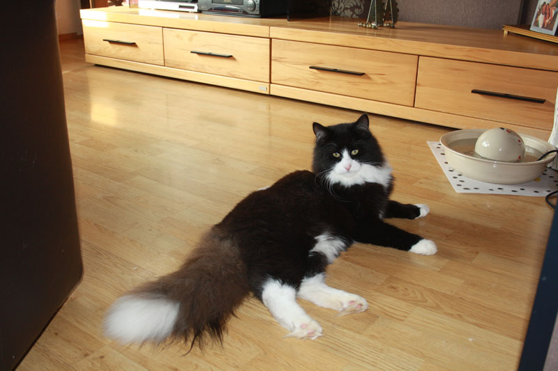 Kenai_281010_IMG_1014_kl