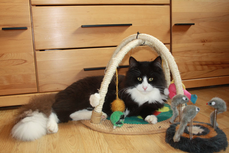 Kenai_281010_IMG_1018_kl