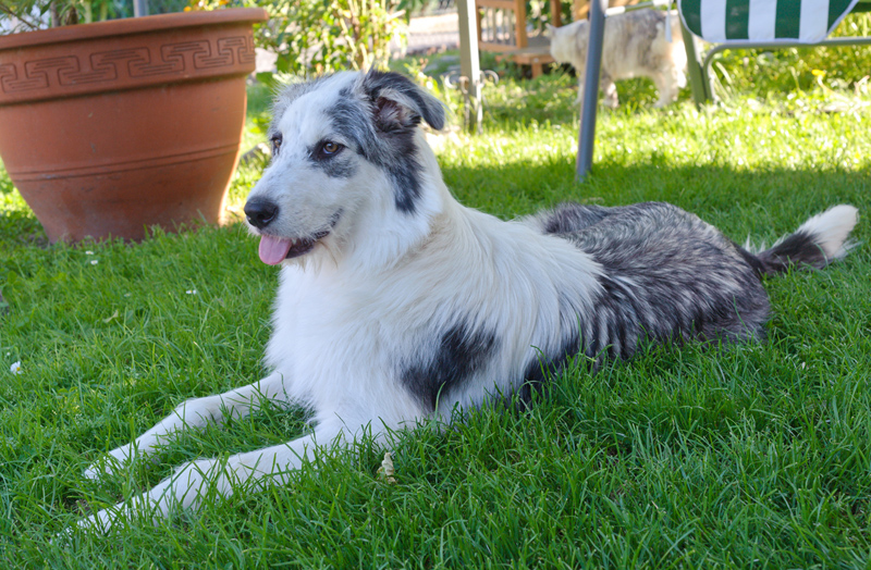 Lara_110610_D105232_kl