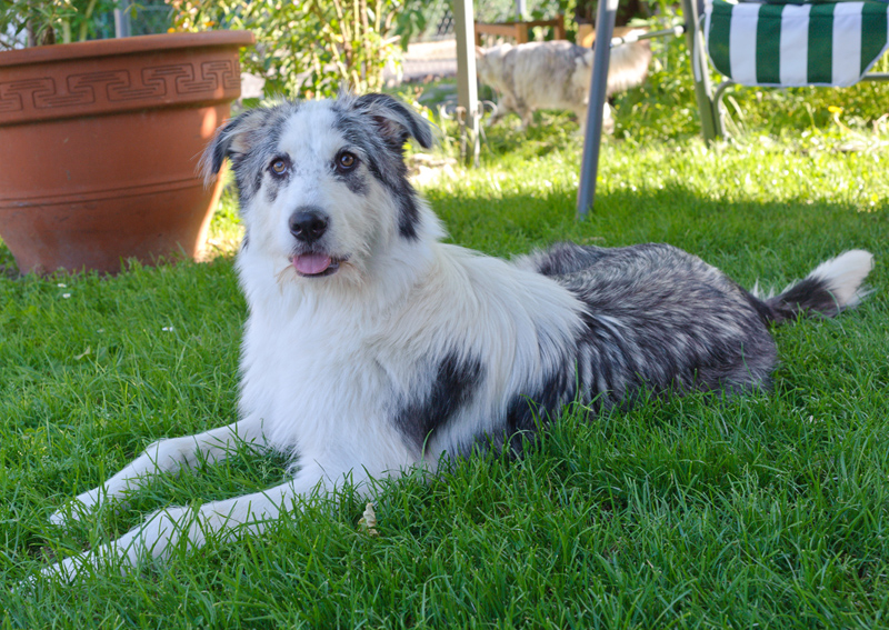 Lara_110610_D105233_kl