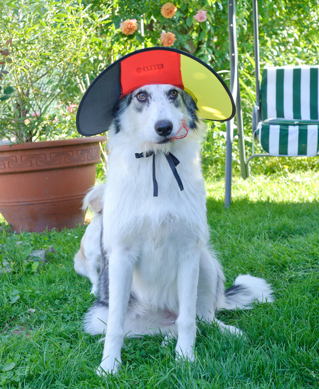 Lara_110610_D105239_kl