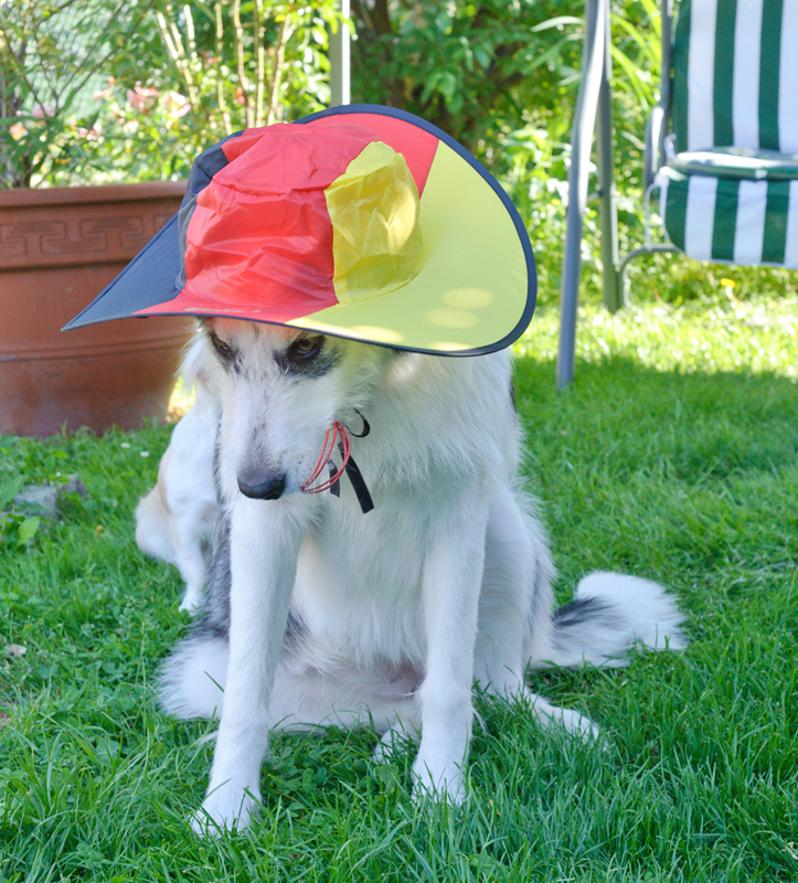 Lara_110610_D105240_kl