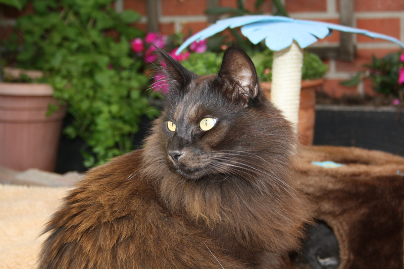 MIB_110710_IMG_0344_kl