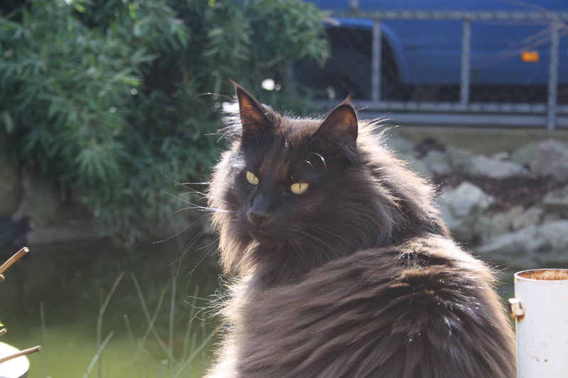 MIB_280311_IMG_1343_kl