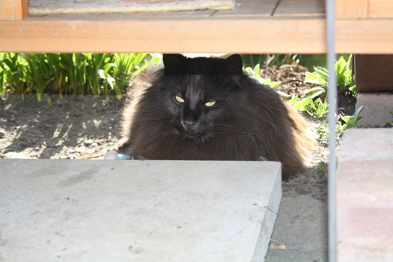 MIB_280311_IMG_1444_kl