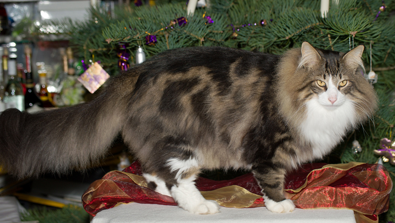 Madison_101226_D109212_kl02