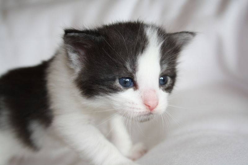 MaiThai_040512_IMG_2719_kl