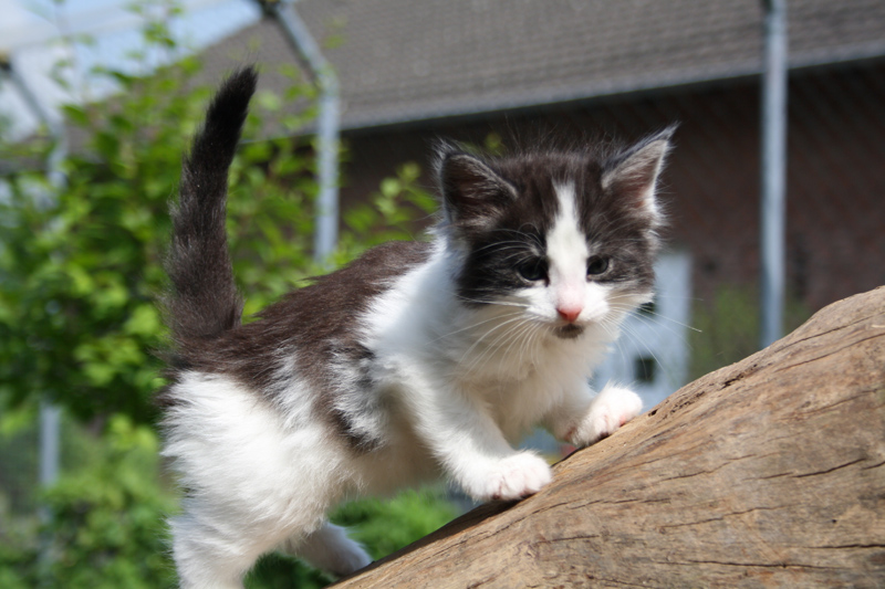 MaiThai_220512_IMG_2966_kl