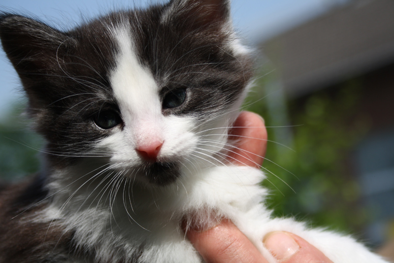 MaiThai_220512_IMG_2975_kl