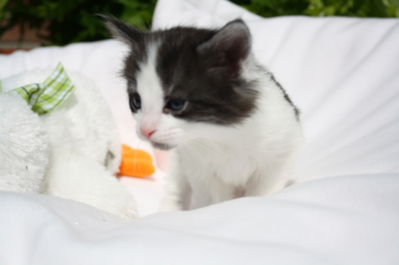 Mai_140512_IMG_2827_kl